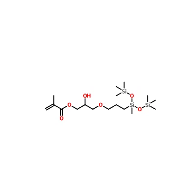 69861-02-5|N-(3-METHACRYLOXY-2-HYDROXYPROPYL)-3-AMINOPROPYLTRIETHOXYSILAN