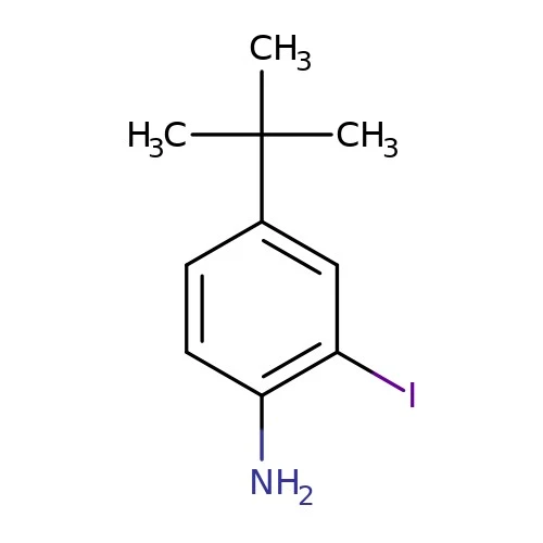 CAS:128318-63-8|4-terc-butyl-2-jódanilín