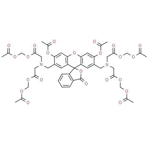 CAS:148504-34-1|Calcein-AM