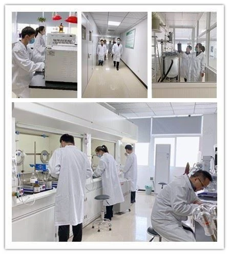 CAS: 95-71-6 | 2-Methylhydroquinone