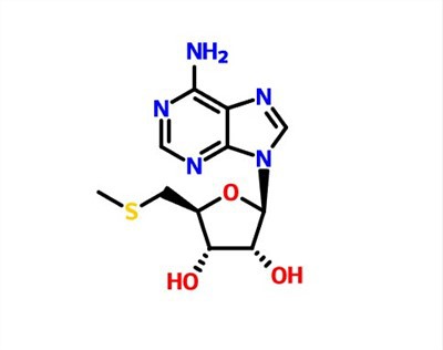 CAS:2457-80-9 5'-S-metyl-5'-tioadenozín